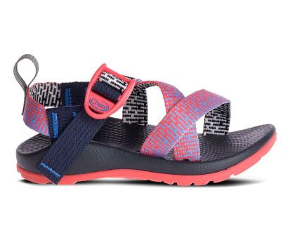 Sandalias Chacos Niños Z/1 EcoTread Multicolor España SOFM73510